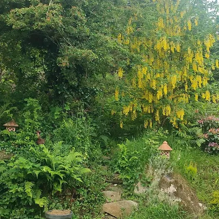 Millwood Retreat 度假居