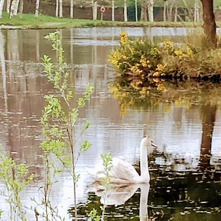 Ferienhaus Millwood Retreat *