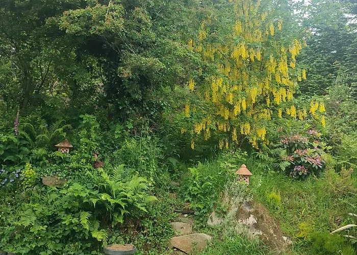 Millwood Retreat 度假居