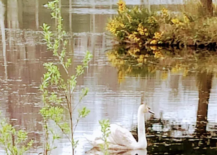 度假居 Millwood Retreat *